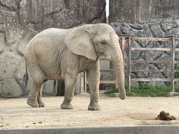 東武動物公園に投稿された画像（2022/5/6）