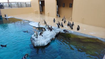 アクアワールド茨城県大洗水族館に投稿された画像（2022/5/6）
