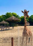 東武動物公園に投稿された画像（2022/5/6）