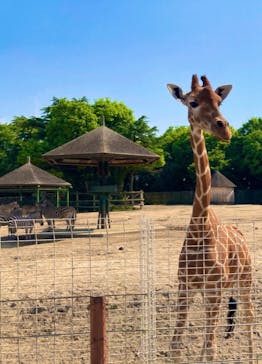 東武動物公園に投稿された画像（2022/5/6）