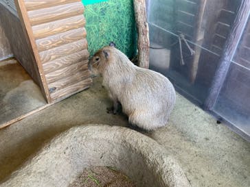 新江ノ島水族館に投稿された画像（2022/5/6）