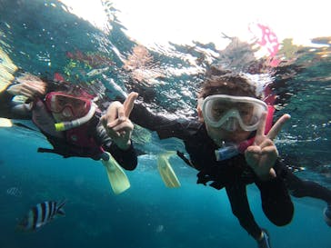 武藤潜水に投稿された画像（2022/5/6）