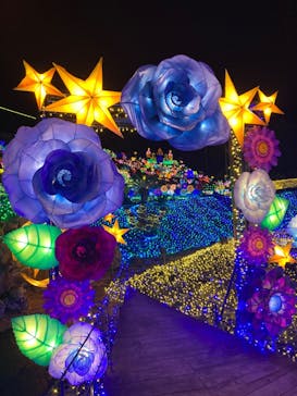 伊豆ぐらんぱる公園に投稿された画像（2022/5/6）