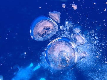 オレンジフィッシュに投稿された画像（2022/5/6）