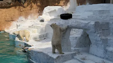 天王寺動物園に投稿された画像（2022/5/6）
