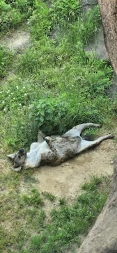 天王寺動物園に投稿された画像（2022/5/6）