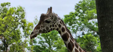 天王寺動物園に投稿された画像（2022/5/6）