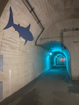 清津峡渓谷トンネルに投稿された画像（2022/5/6）