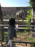 東武動物公園に投稿された画像（2022/5/7）
