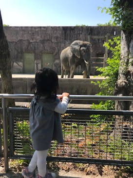 東武動物公園に投稿された画像（2022/5/6）