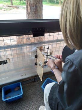 群馬サファリパークに投稿された画像（2022/5/6）