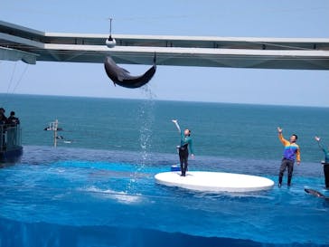 上越市立水族博物館 うみがたりに投稿された画像（2022/5/6）