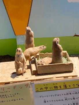 淡路ファームパーク イングランドの丘に投稿された画像（2022/5/6）