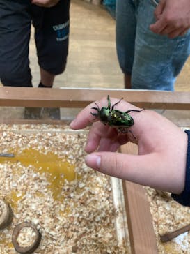 淡路ファームパーク イングランドの丘に投稿された画像（2022/5/6）