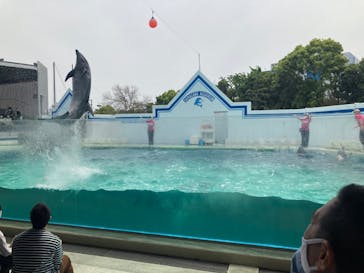 しながわ水族館に投稿された画像（2022/5/6）