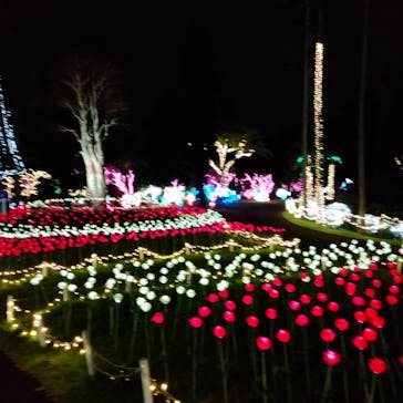 美らヤシパークオキナワ・東南植物楽園に投稿された画像（2022/5/6）