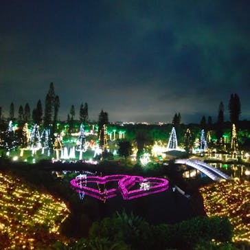 美らヤシパークオキナワ・東南植物楽園に投稿された画像（2022/5/6）