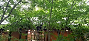 箱根湯寮に投稿された画像（2022/5/7）