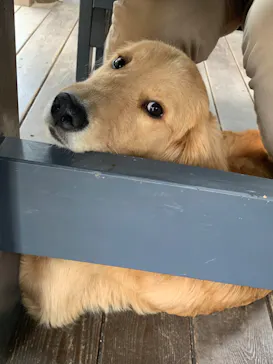 わんダフルネイチャーヴィレッジに投稿された画像（2022/5/7）