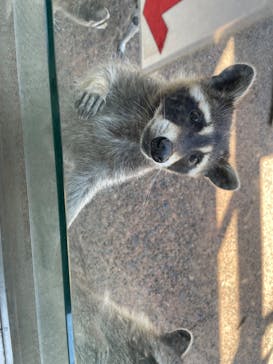 長崎バイオパークに投稿された画像（2022/5/7）