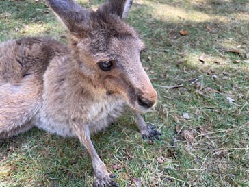 長崎バイオパークに投稿された画像（2022/5/7）
