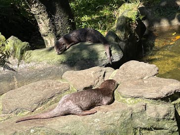 長崎バイオパークに投稿された画像（2022/5/7）