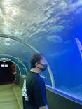 串本海中公園水族館に投稿された画像（2022/5/7）