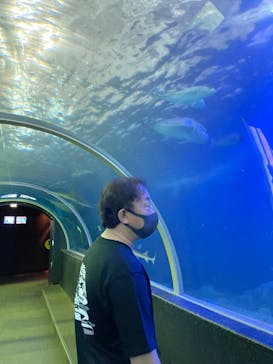 串本海中公園水族館に投稿された画像（2022/5/7）