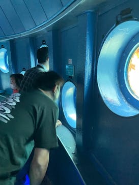 串本海中公園水族館に投稿された画像（2022/5/7）