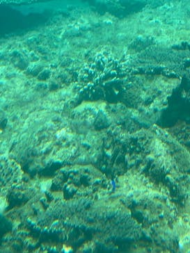 串本海中公園水族館に投稿された画像（2022/5/7）