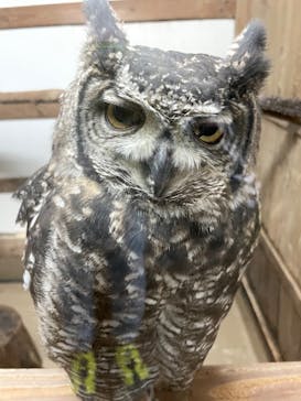 富士花鳥園に投稿された画像（2022/5/7）