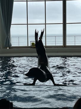 アクアワールド茨城県大洗水族館に投稿された画像（2022/5/7）