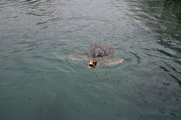 串本海中公園水族館に投稿された画像（2022/5/7）