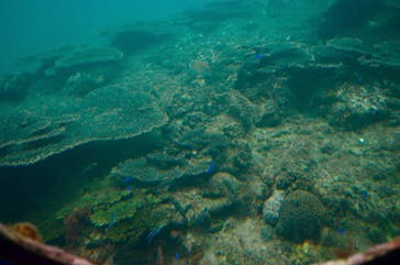 串本海中公園水族館に投稿された画像（2022/5/7）