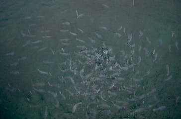 串本海中公園水族館に投稿された画像（2022/5/7）