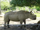 よこはま動物園ズーラシアに投稿された画像（2022/5/7）
