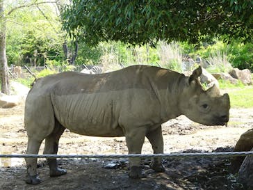 よこはま動物園ズーラシアに投稿された画像（2022/5/7）