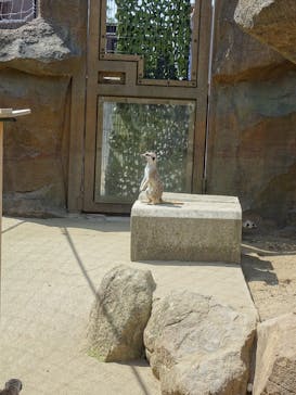 よこはま動物園ズーラシアに投稿された画像（2022/5/7）