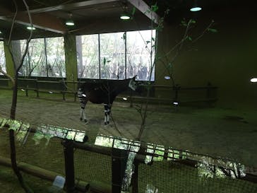 よこはま動物園ズーラシアに投稿された画像（2022/5/7）