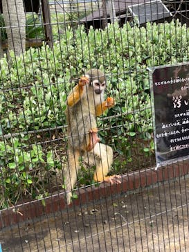 淡路ファームパーク イングランドの丘に投稿された画像（2022/5/7）