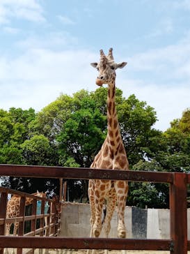東武動物公園に投稿された画像（2022/5/7）