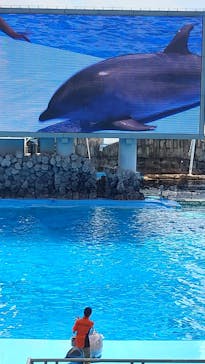 名古屋港水族館に投稿された画像（2022/5/7）