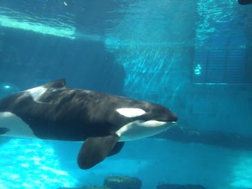 名古屋港水族館に投稿された画像（2022/5/7）