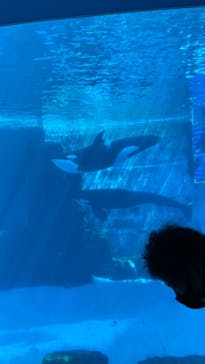 名古屋港水族館に投稿された画像（2022/5/7）