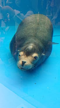 サンシャイン水族館に投稿された画像（2022/5/7）