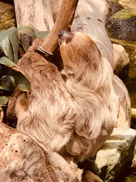 神戸どうぶつ王国に投稿された画像（2022/5/7）