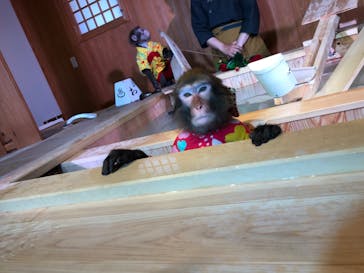 おさるの湯もみ処　おさ湯に投稿された画像（2022/5/7）