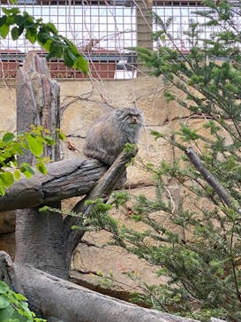 那須どうぶつ王国に投稿された画像（2022/5/7）