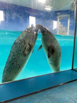 下田海中水族館に投稿された画像（2022/5/7）