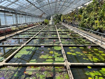 熱川バナナワニ園に投稿された画像（2022/5/7）